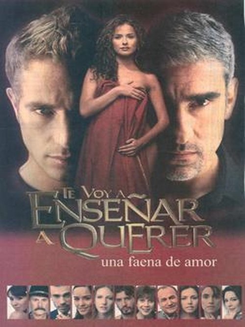 Póster de Te voy a enseñar a querer