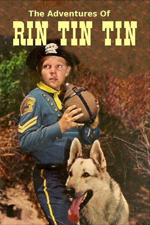 Póster de The Adventures of Rin Tin Tin