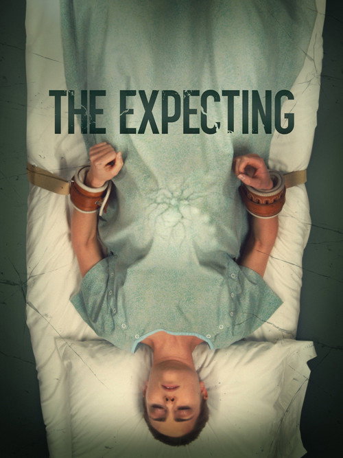 Póster de The Expecting