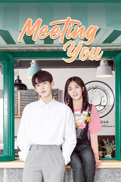 Póster de Meeting You