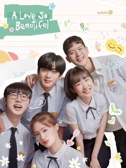 Póster de A Love So Beautiful