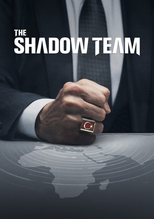 Póster de The Shadow Team