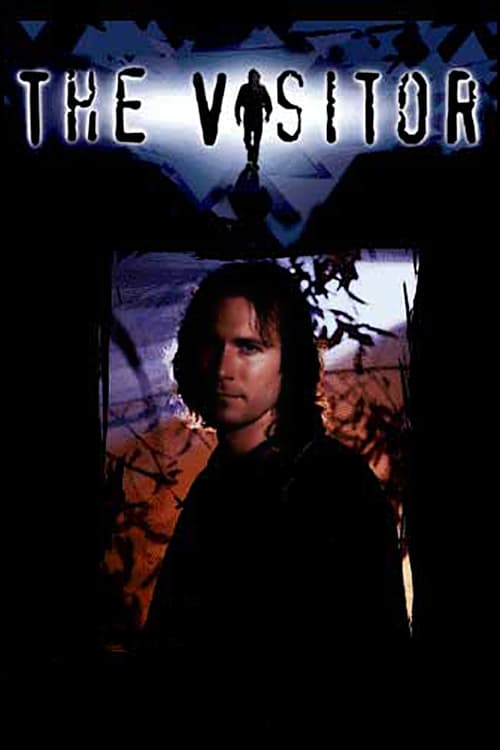 Poster von The Visitor