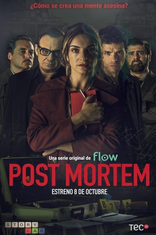 Poster von Post Mortem