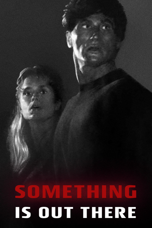 Póster de Something Is Out There