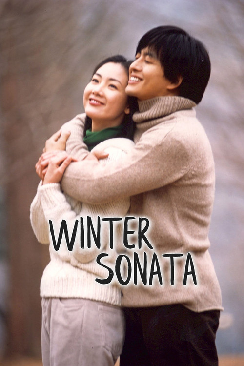 Póster de Winter Sonata
