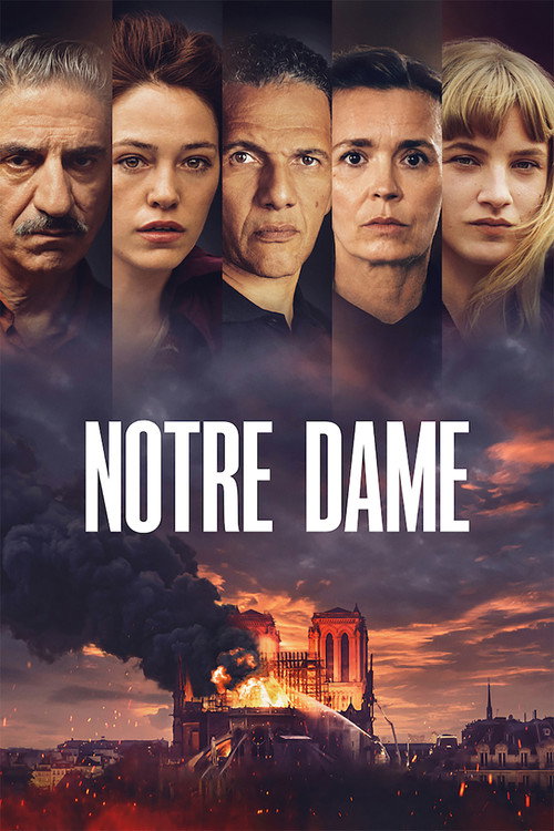 Póster de Notre-Dame