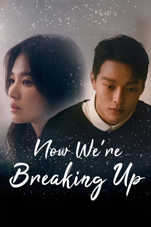 Póster de Now, We Are Breaking Up