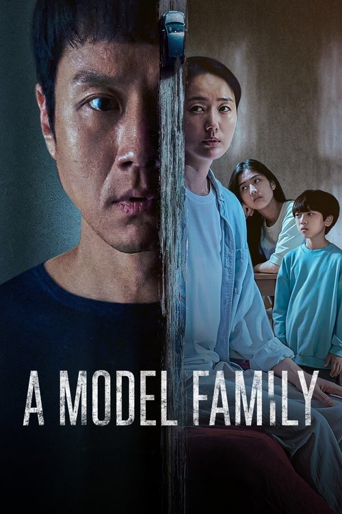Póster de A Model Family