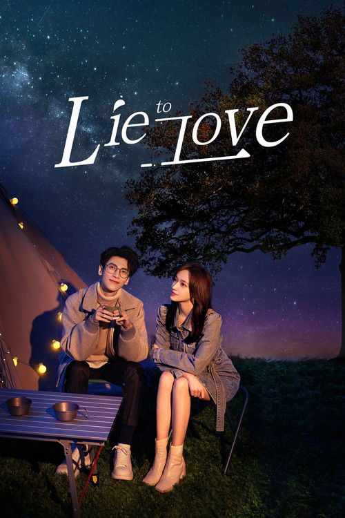Póster de Lie to Love