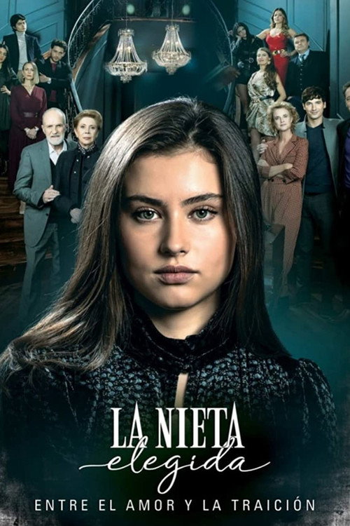 Póster de La nieta elegida