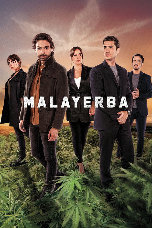 Póster de MalaYerba
