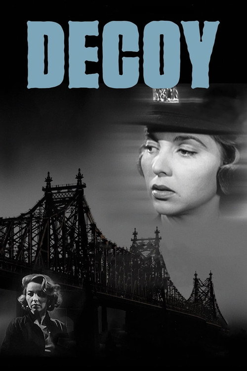 Póster de Decoy