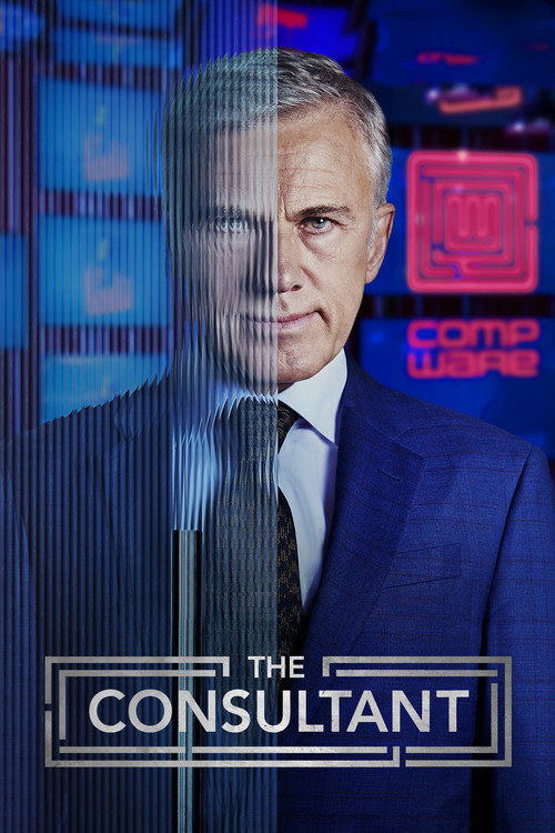 Póster de The Consultant
