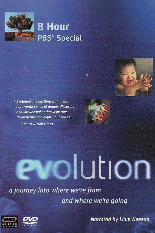 Póster de Evolution