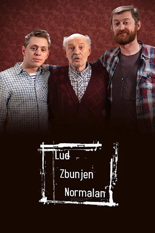 Póster de Crazy, Confused, Normal