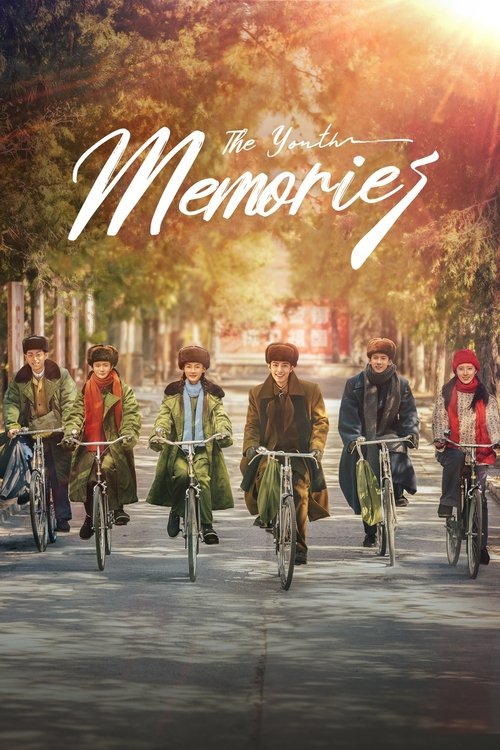 Póster de The Youth Memories