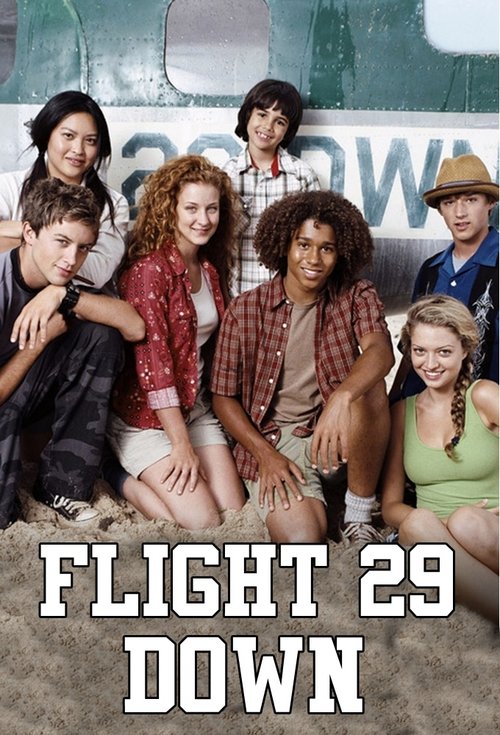 Póster de Flight 29 Down