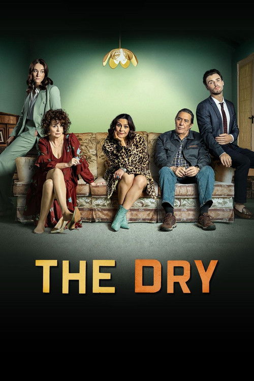 Póster de The Dry