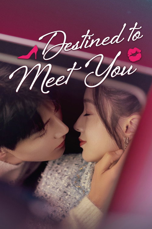 Póster de Destined to Meet You
