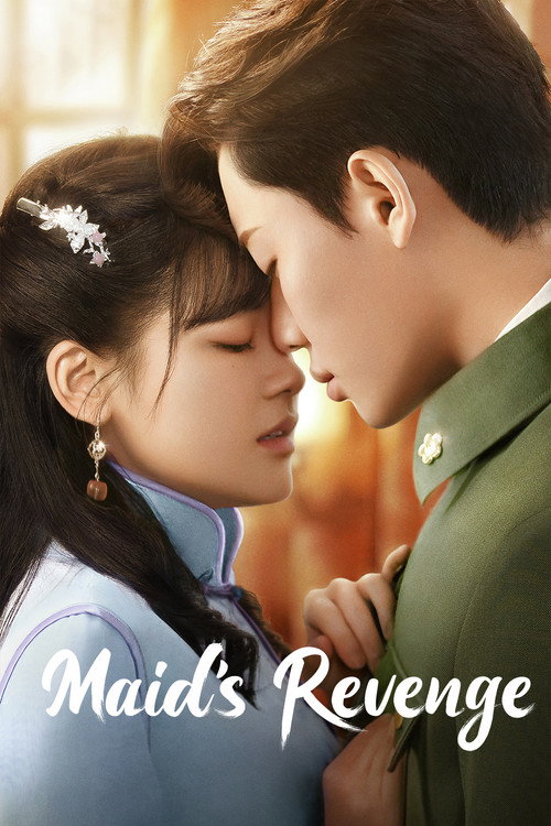 Póster de Maid's Revenge