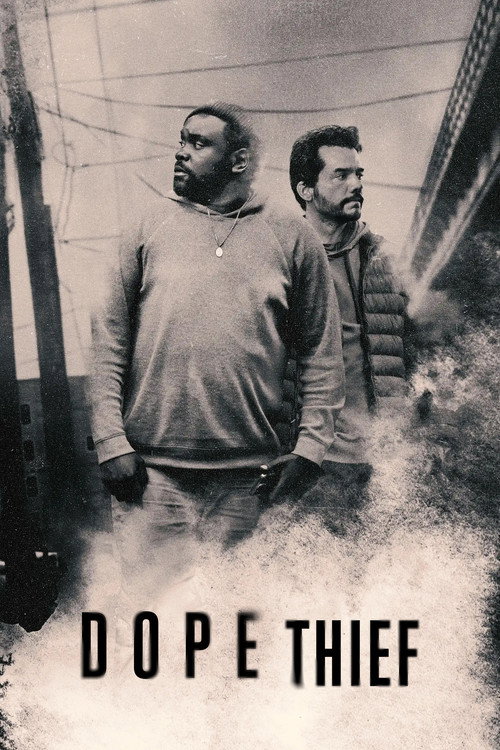 Póster de Dope Thief