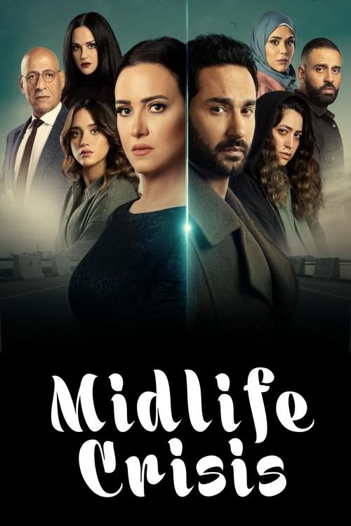 Póster de Midlife Crisis