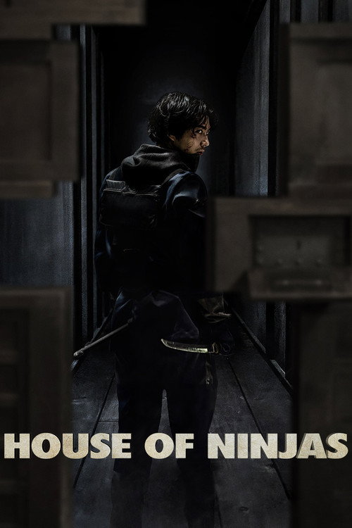 Póster de House of Ninjas