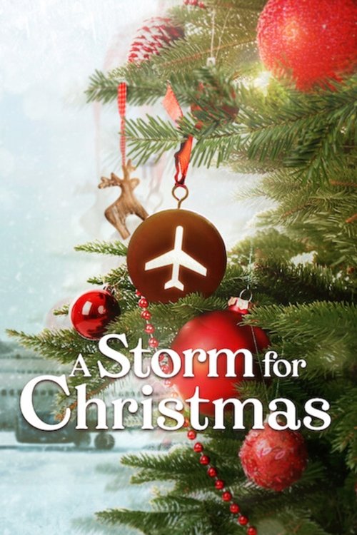 Póster de A Storm for Christmas