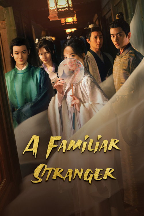 Póster de A Familiar Stranger