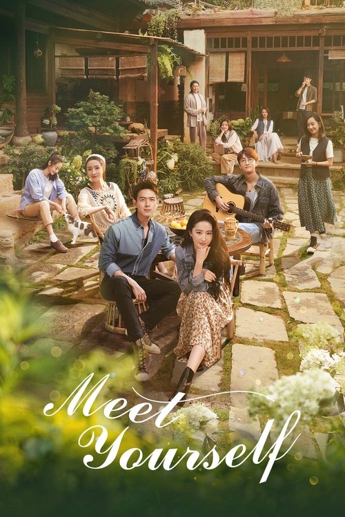 Póster de Meet Yourself