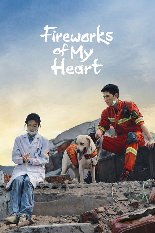 Póster de Fireworks of My Heart