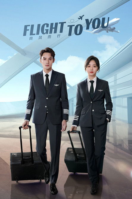 Póster de Flight To You