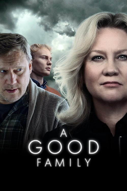 Póster de A Good Family