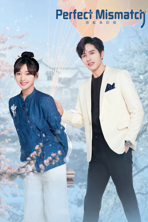Póster de Perfect Mismatch