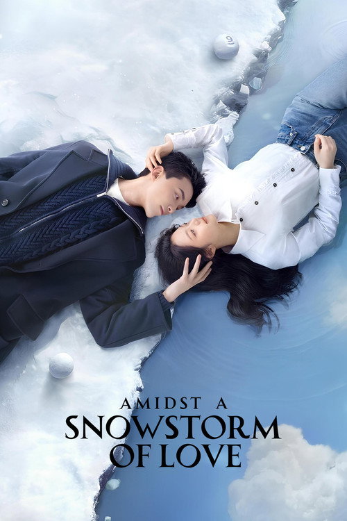 Póster de Amidst a Snowstorm of Love