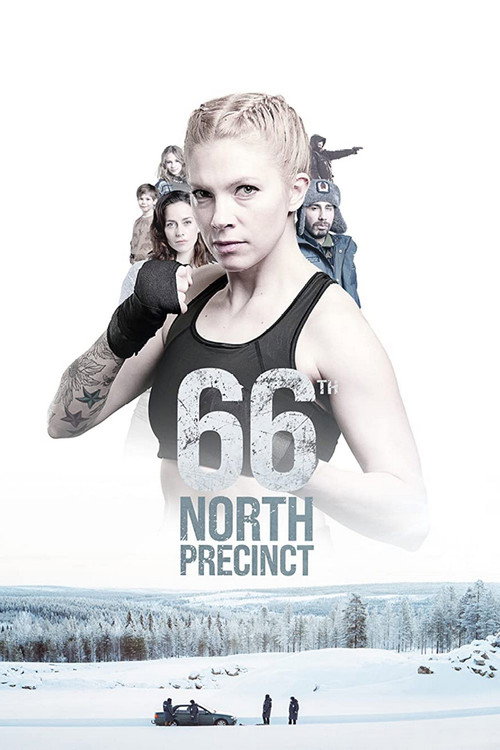 Póster de 66th North Precinct