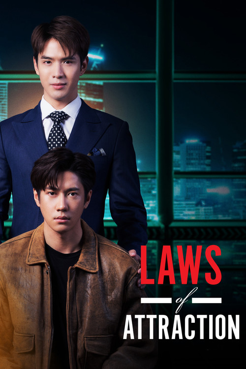 Póster de Laws of Attraction