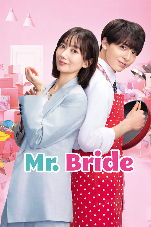 Póster de Mr. Bride