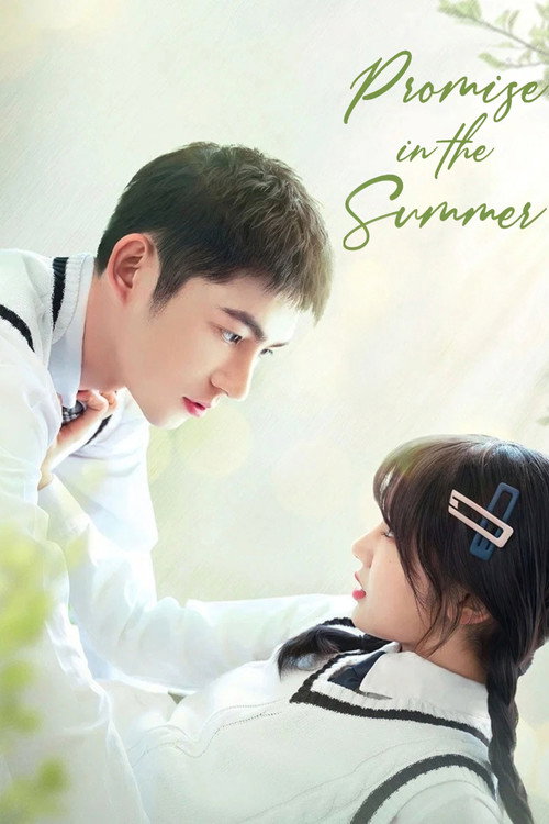 Póster de Promise in the Summer