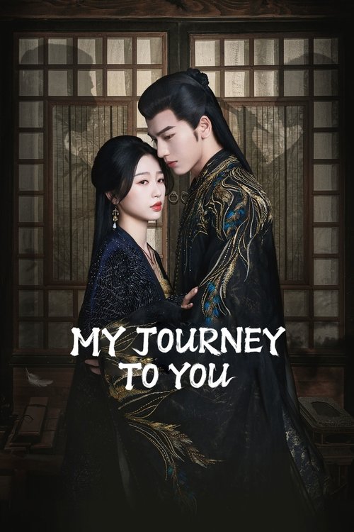 Póster de My Journey To You