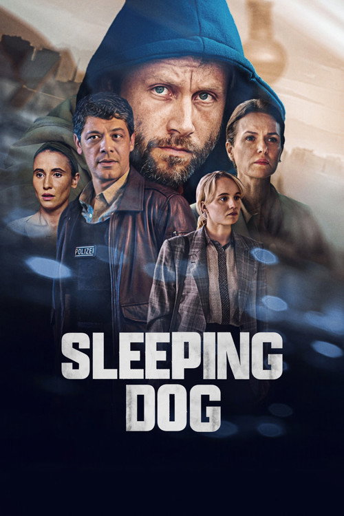 Póster de Sleeping Dog