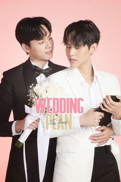 Póster de Wedding Plan