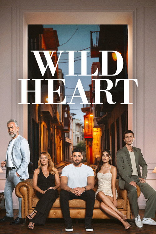 Póster de Wild heart