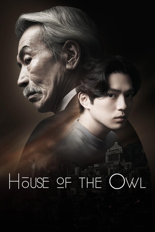 Póster de House of the Owl