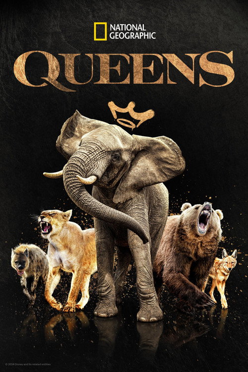 Póster de Queens
