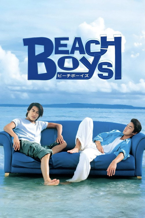 Póster de Beach Boys