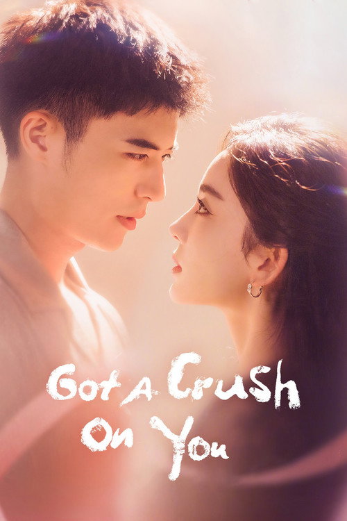 Póster de Got a Crush on You