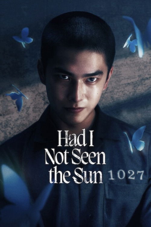 Póster de Had I Not Seen the Sun