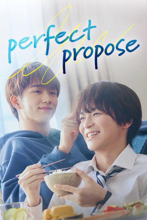 Póster de Perfect Propose